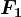F1