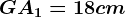 GA1=18 cm