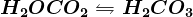 H2O + CO2\leftrightharpoons H2CO3