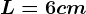 L = 6cm