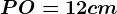PO=12 cm