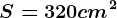 S=320 cm^2