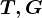 T,G