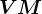 VM