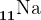11^\textrmNa
