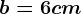 b = 6 cm