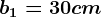 b1=30 cm