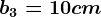 b3=10 cm