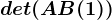 det(A+B(1))