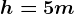h= 5m