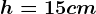 h=15 cm