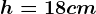 h=18 cm
