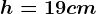 h=19 cm