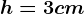 h=3 cm