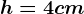 h=4 cm