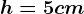 h=5 cm