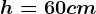 h=60cm