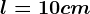 l= 10 cm
