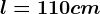 l= 110cm