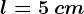 l=5\: cm