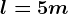 l=5m
