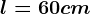 l=60cm