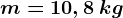 m=10,8\: kg