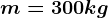 m=300 kg