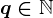 q\in\mathbbN
