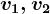 v1,v2