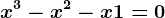 x^3-x^2-x+1=0
