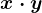 x \cdot y